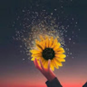 Meet your Posher, Silvia